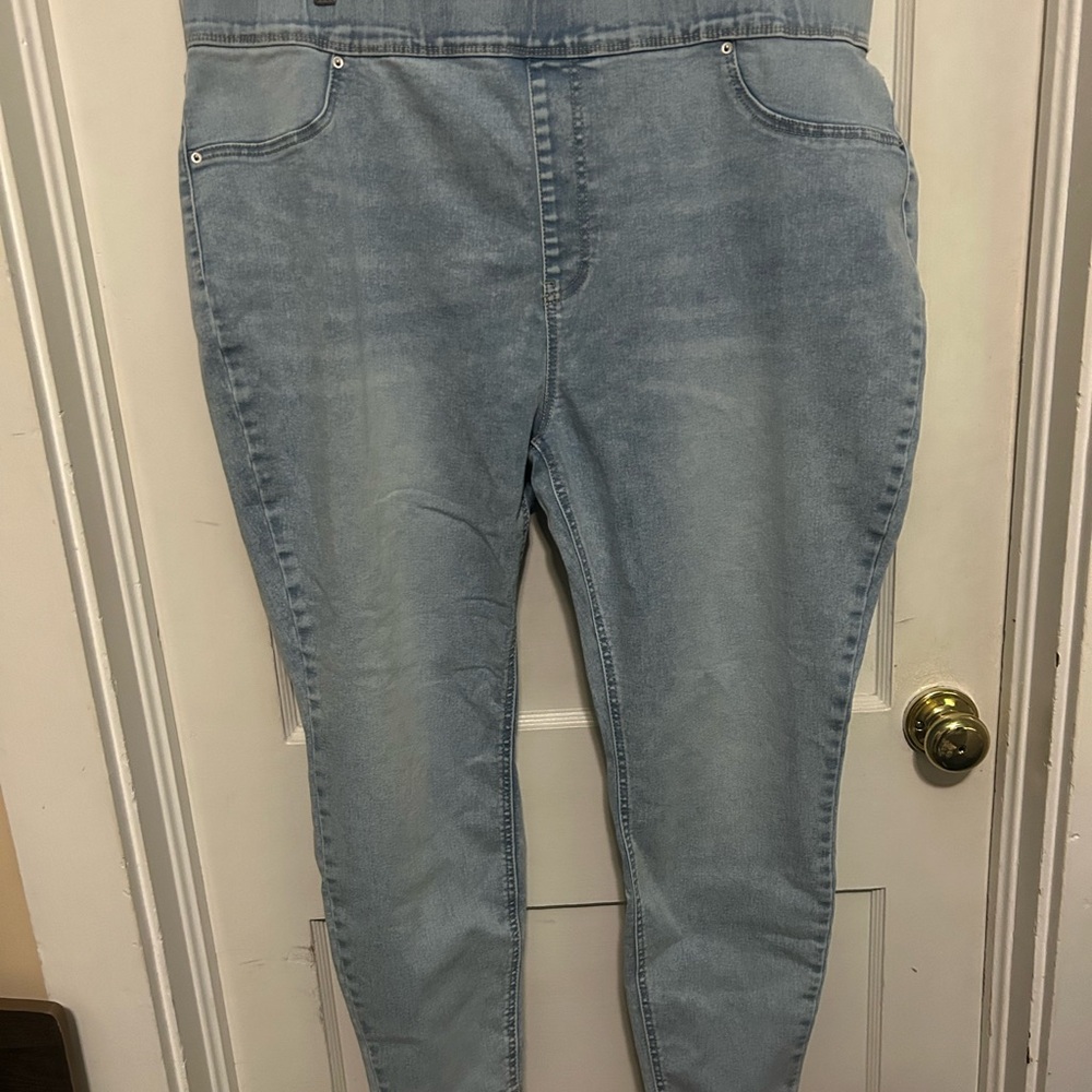 Terra & Sky Light Blue Women's Jeggings